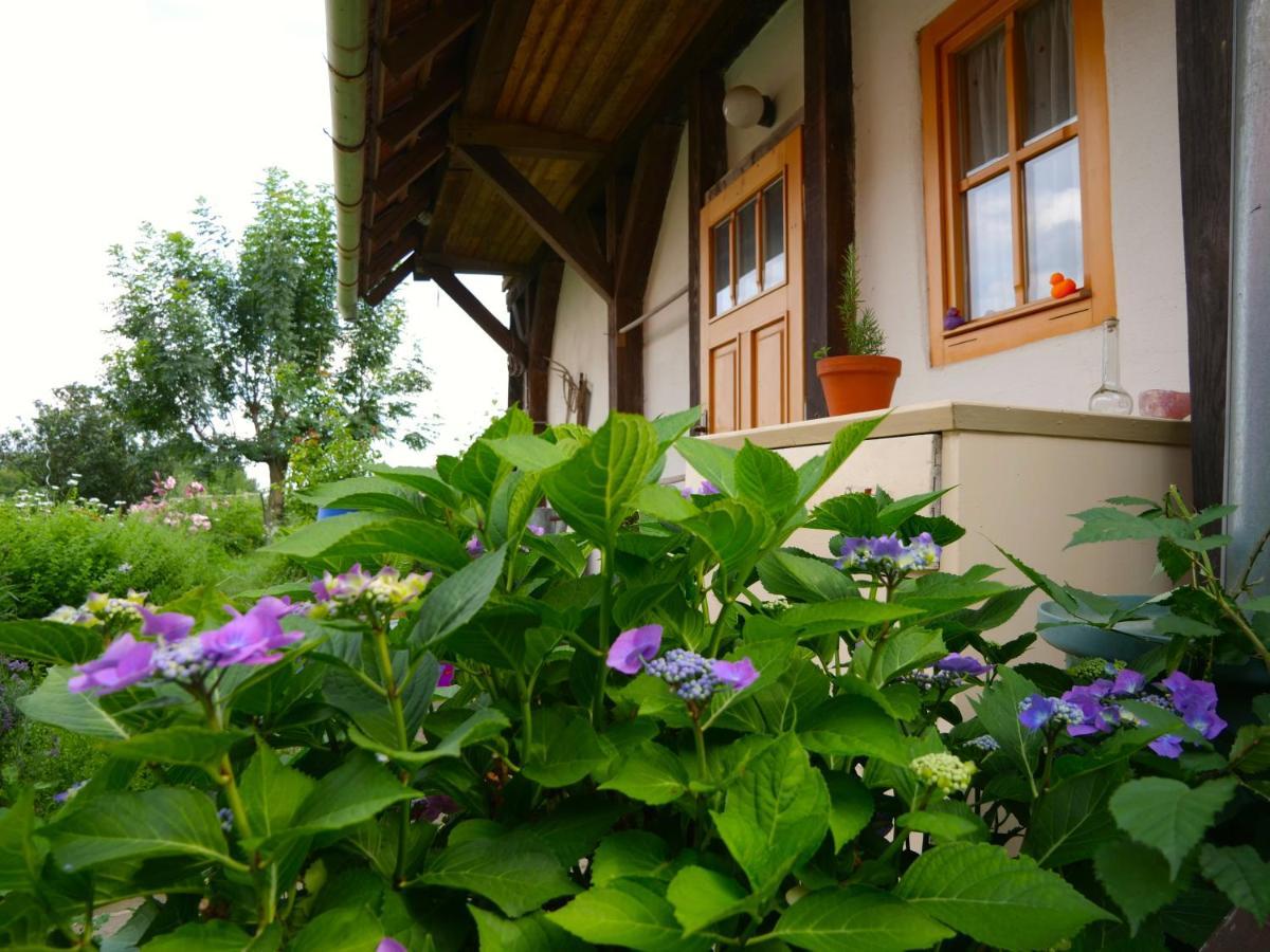 Selanka Off Road Hill View Otel Moravske Lieskove Dış mekan fotoğraf