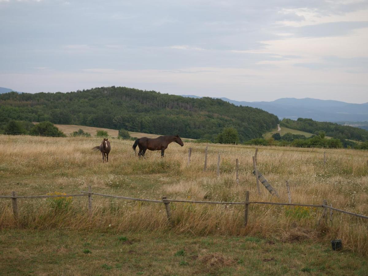 Selanka Off Road Hill View Otel Moravske Lieskove Dış mekan fotoğraf